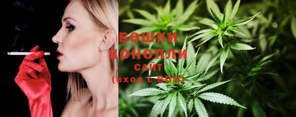 каннабис Инта