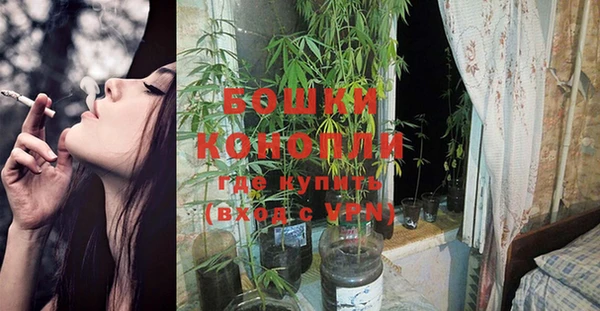 каннабис Инта