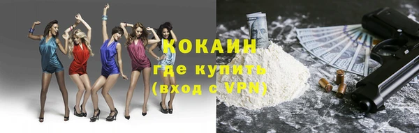 дмт Инсар