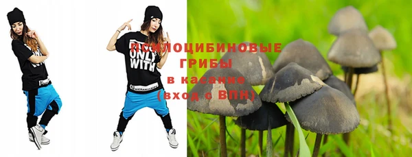 каннабис Инта