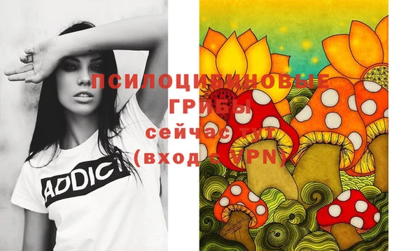 дмт Инсар