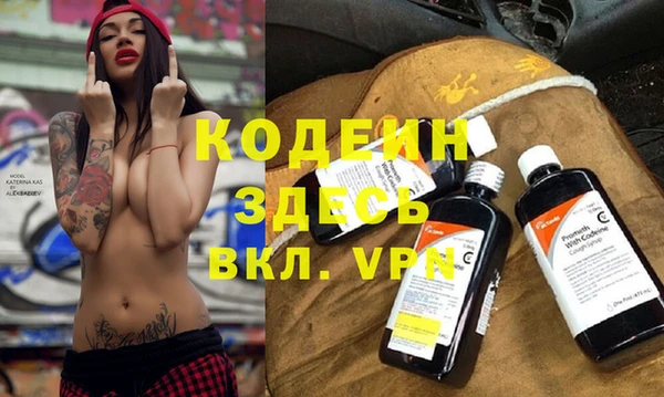 дмт Инсар