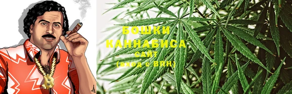 дмт Инсар