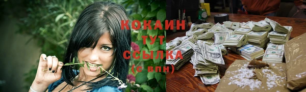 дмт Инсар
