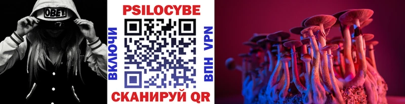 Псилоцибиновые грибы мицелий  Купить где  Жирновск 